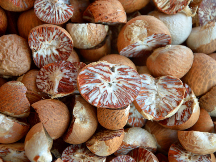 A number of betel nuts on a table