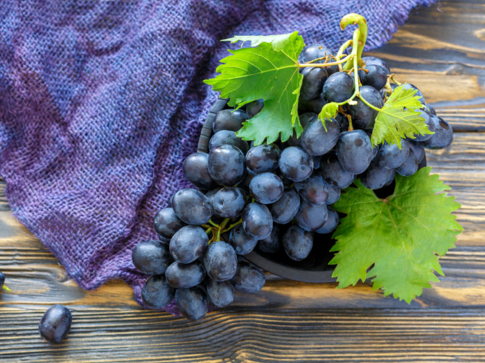A bunch of black grapes on a blue backdrop