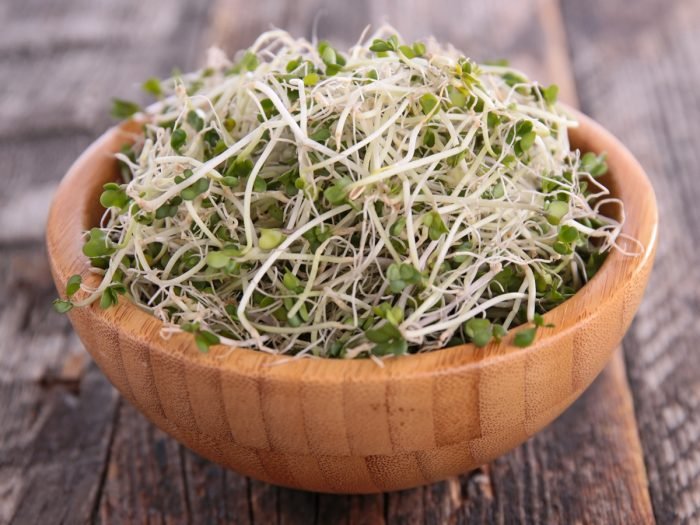 Fresh broccoli sprouts in a bowl
