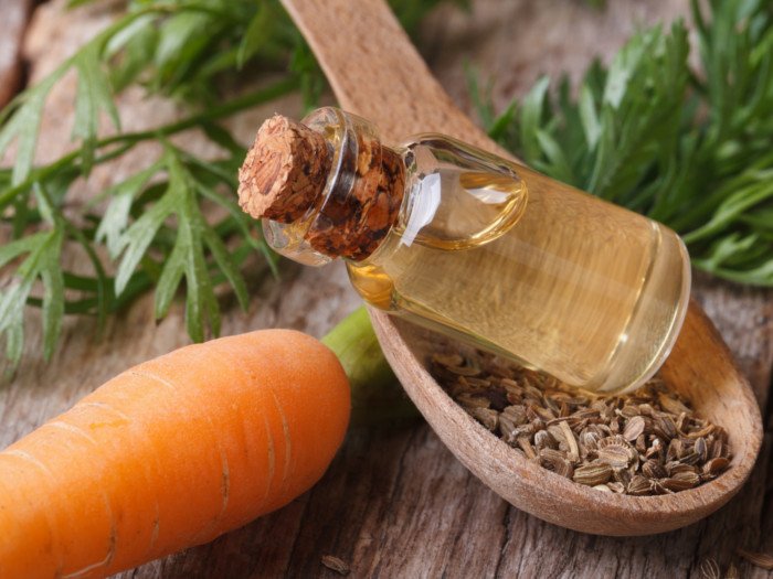 A close-up view of a carrot seed oil, fresh carrot with leaves, and a wooden spoon of carrot seeds