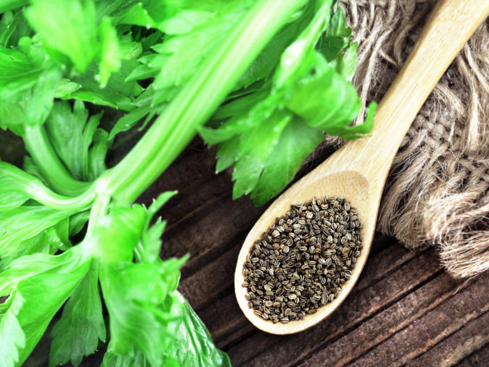 A wooden spoon with celery seeds next to celery leaves
