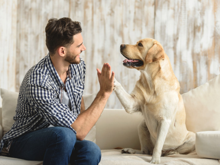 A man playing with his dog against a polished ivory background