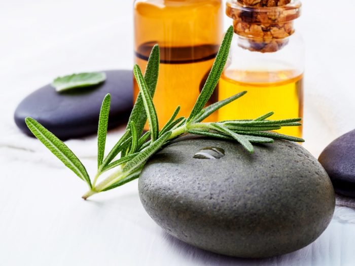 Massage stones, plant, and essential oils in the background