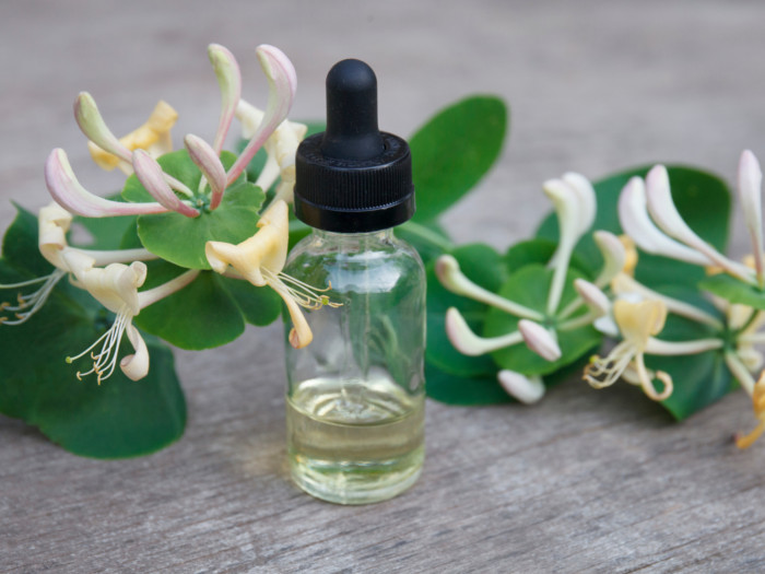 Honeysuckle essential oil in a dropper bottle kept next to the plant