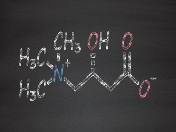 6左旋肉碱的惊人好处|苦荞之家
