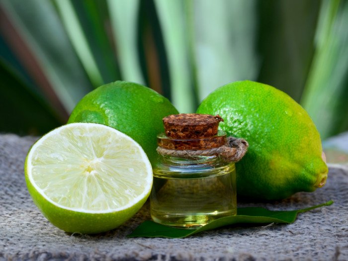 Close up of a lime essential oil bottle, next to a whole and halved limes