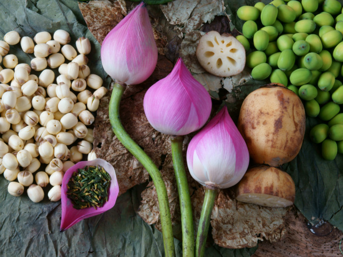 Lotus flowers, seeds, stem, and powder