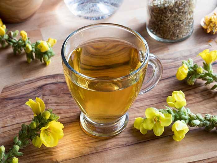 木兰茶的益处和副作用|苦荞之家