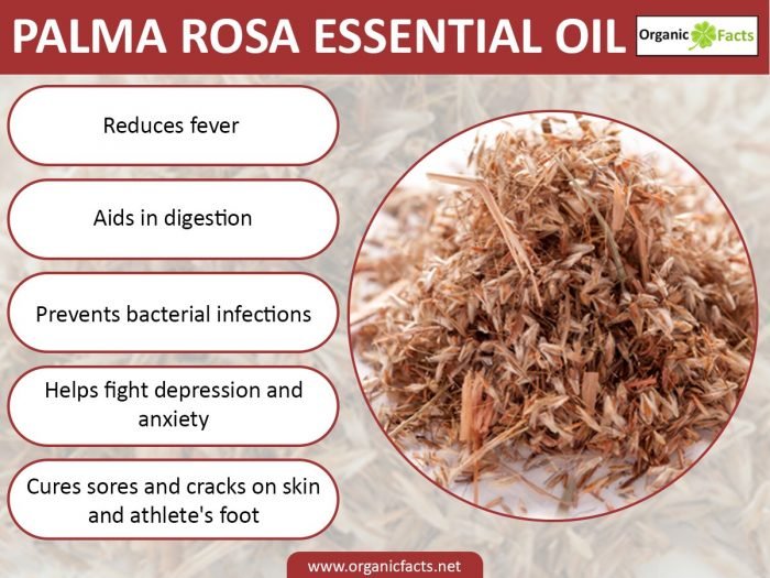 An infographic on health benefits of palmarosa essential oil