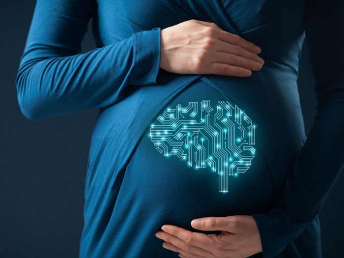 怀孕的大脑是真的吗|苦荞之家