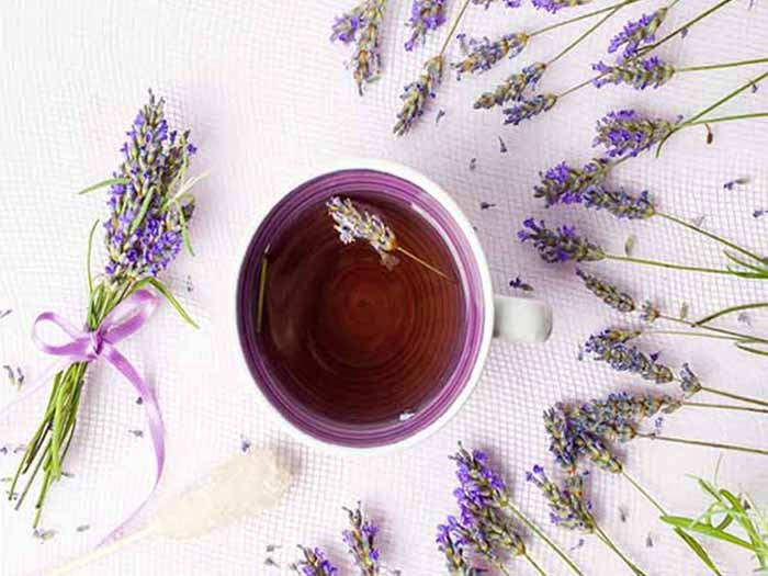 肯尼亚紫茶：益处、营养及更多|苦荞之家