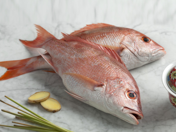 红鲷鱼：营养与益处|苦荞之家