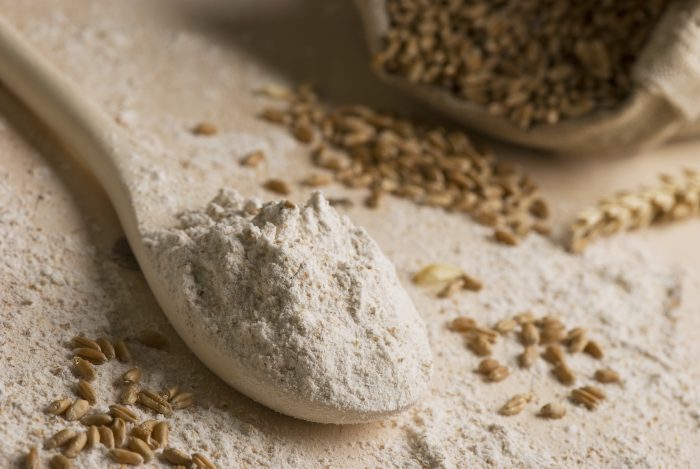 什么是黑麦粉及其用途|苦荞之家