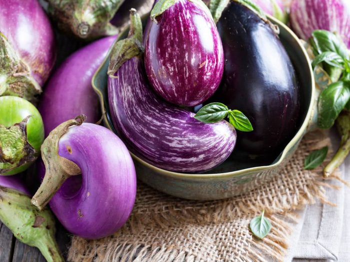 Types of eggplant in a rustic bowl and background