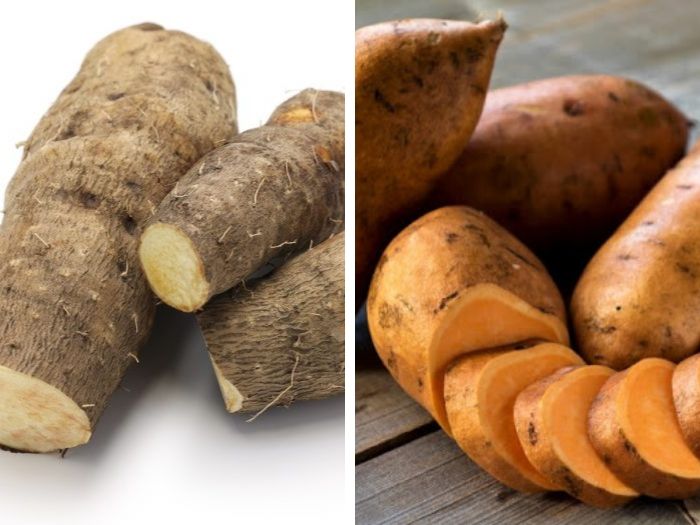 A comparison pic of yam and sweet potato
