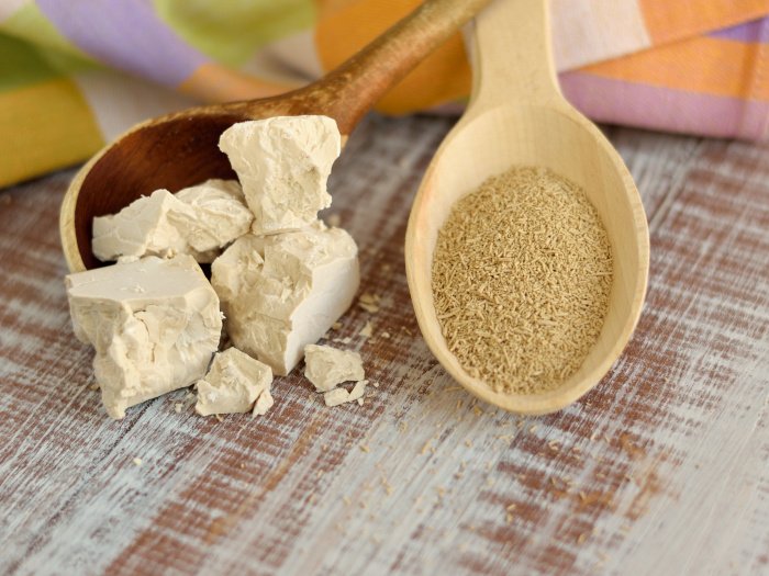 Dry yeast and yeast block on a wooden table