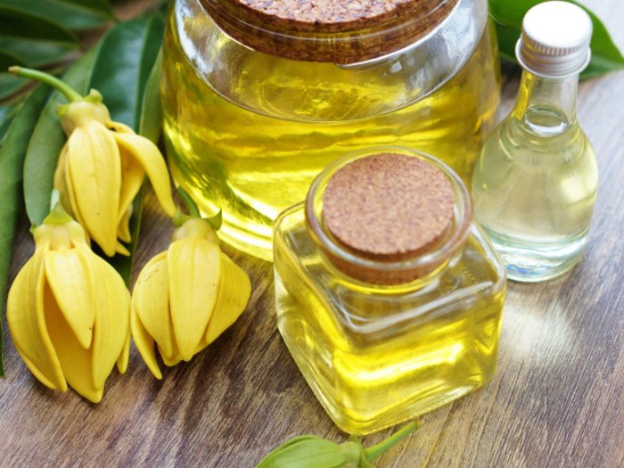 Bottles of ylang ylang oil with ylang ylang flowers